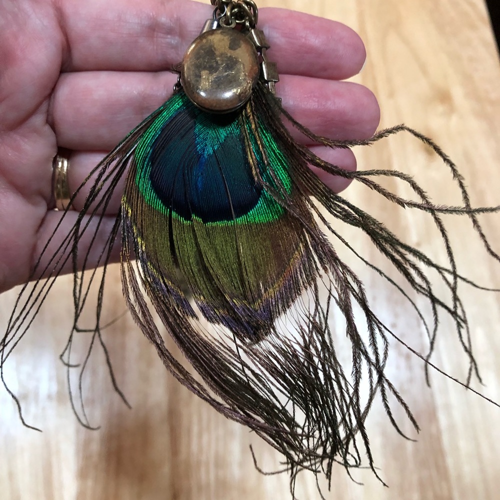 🐞🐞Funky Peacock Feather Necklace!🐞🐞